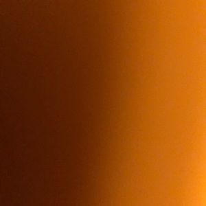 Meet your Posher, Daisy